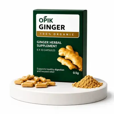 GINGER HERBAL SUPPLEMENT
